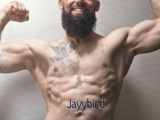 Jayybird