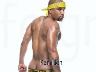 Kamillion