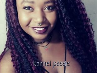 Kannel_passie