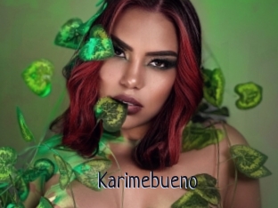 Karimebueno