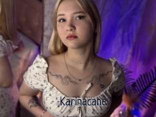 Karinacane