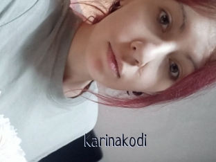 Karinakodi