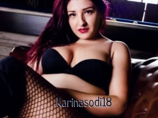Karinasodi18