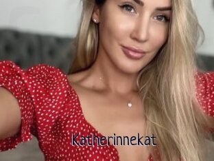 Katherinnekat