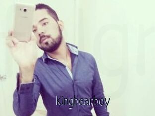 Kingbearboy