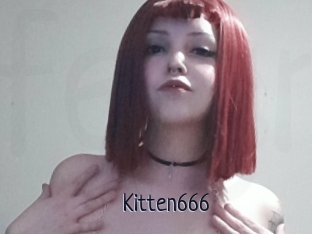 Kitten666