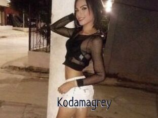 Kodamagrey