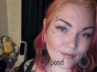 Koi_pond
