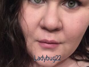 Ladybug22