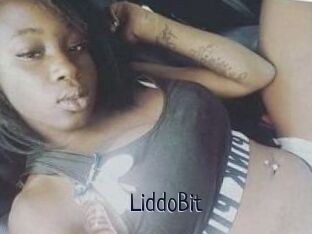 LiddoBit