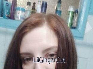 LilGingerCat
