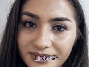 LillyVelvet