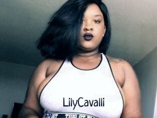 Lily_Cavalli