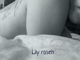 Lily_roseh