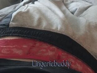 Lingeriebuddy