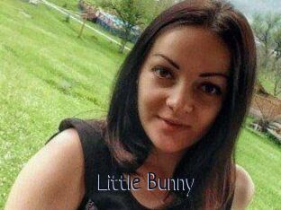 Little_Bunny_
