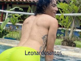 Leonardosantos