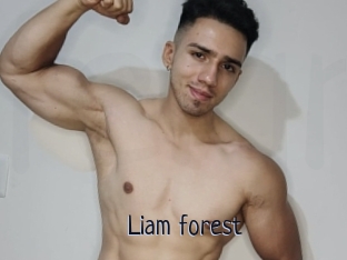 Liam_forest