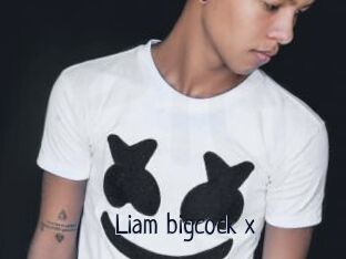 Liam_bigcock_x