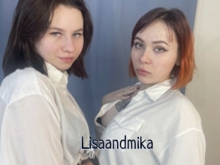 Lisaandmika