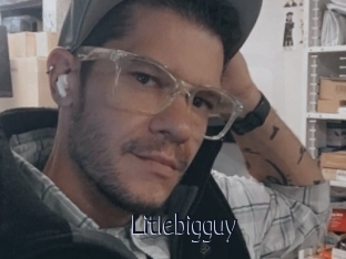 Litlebigguy