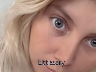 Littlesary