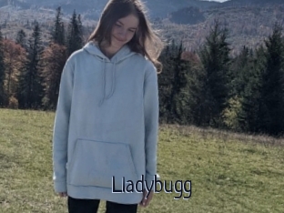 Lladybugg