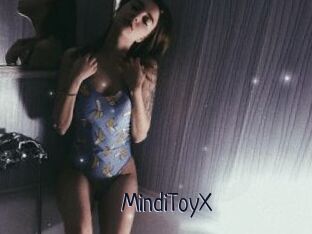 MindiToyX