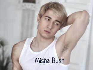 Misha_Bush