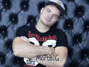 MortBIG
