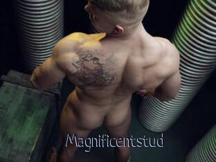 Magnificentstud