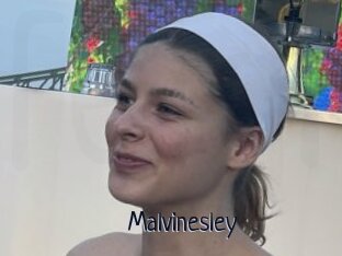 Malvinesley