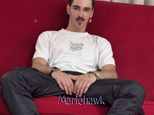 Mariohawk