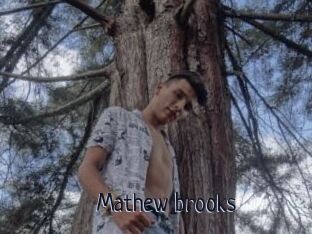 Mathew_brooks