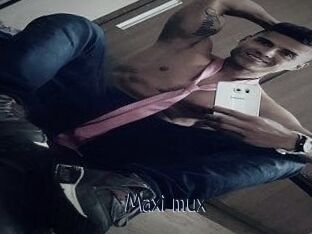 Maxi_mux