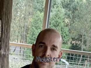 Meesterv