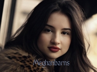 Meghanbarns