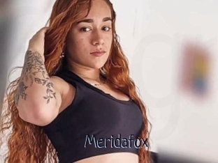 Meridafox