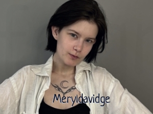 Meryldavidge