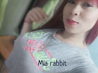 Mia_rabbit