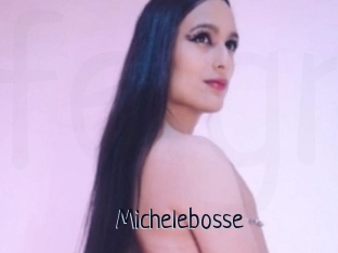 Michelebosse