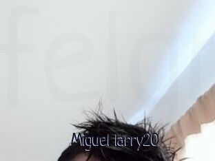 Miguel_larry20