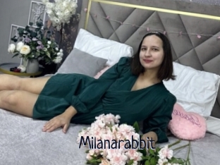 Milanarabbit