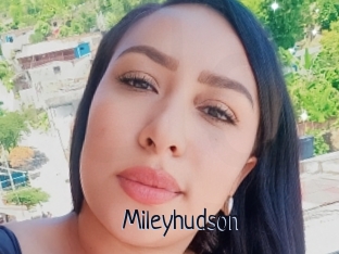 Mileyhudson