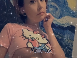 Mollie_fox