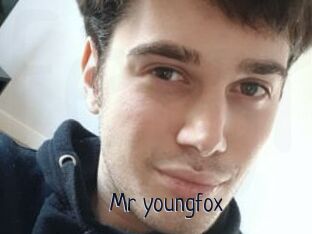 Mr_youngfox
