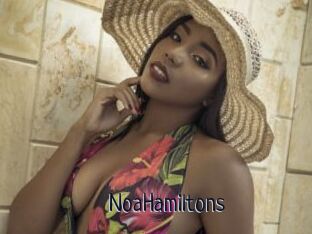 NoaHamiltons