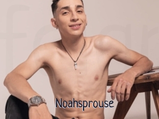 Noahsprouse