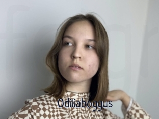 Odiliaboggus