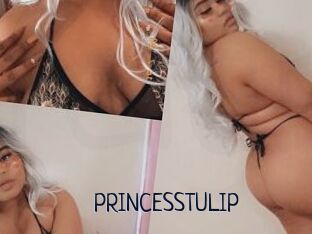 PRINCESSTULIP